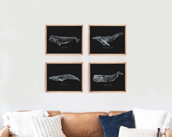 Whales Set of 4, Black & White Print, Nautical Decor, Charcoal, Right Whale, Humpback, Blue Whale, Sperm Whale, Beach House, Bathroom Decor