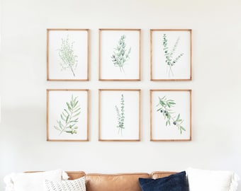 Greenery Branches Set of 6, Watercolor Prints, Eucalyptus, Olive Branch, Thyme, Rosemary, Botanical Home Decor