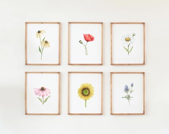 Flowers Set of 6, Flower Wall Art, Watercolor Prints, Echinacea, Black-Eyed Susan, Shasta Daisy, Sunflower, Blue Thistle, Poppy