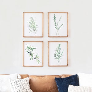 Greenery Branches Set of 4, Herbs Watercolor Set, Home Decor, Olive Branch, Thyme, Rosemary, Eucalyptus