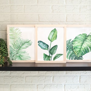 Tropical Watercolor Print Set of 3, Home Decor, Monstera Plant, Bird of Paradise Plant, Palm Leaf, House Plant image 3