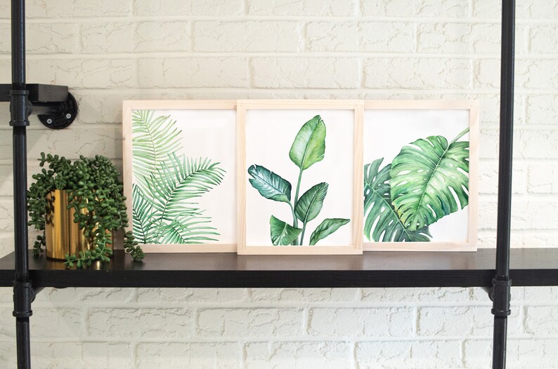 Tropical Watercolor Print Set of 3, Home Decor, Monstera Plant, Bird of Paradise Plant, Palm Leaf, House Plant image 3