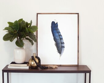 Bluejay Feather, Framed and Unframed, Feather Watercolor Print, Bluejay, Wall Art, Home Decor, Bird Feather, Framed WITHOUT Glass