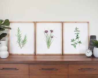Herbs Set of 3 Watercolor Set,  Rosemary, Chives, Oregano, Botanical Wall Art, Greenery, Plant Art, Culinary Herbs, Kitchen Decor