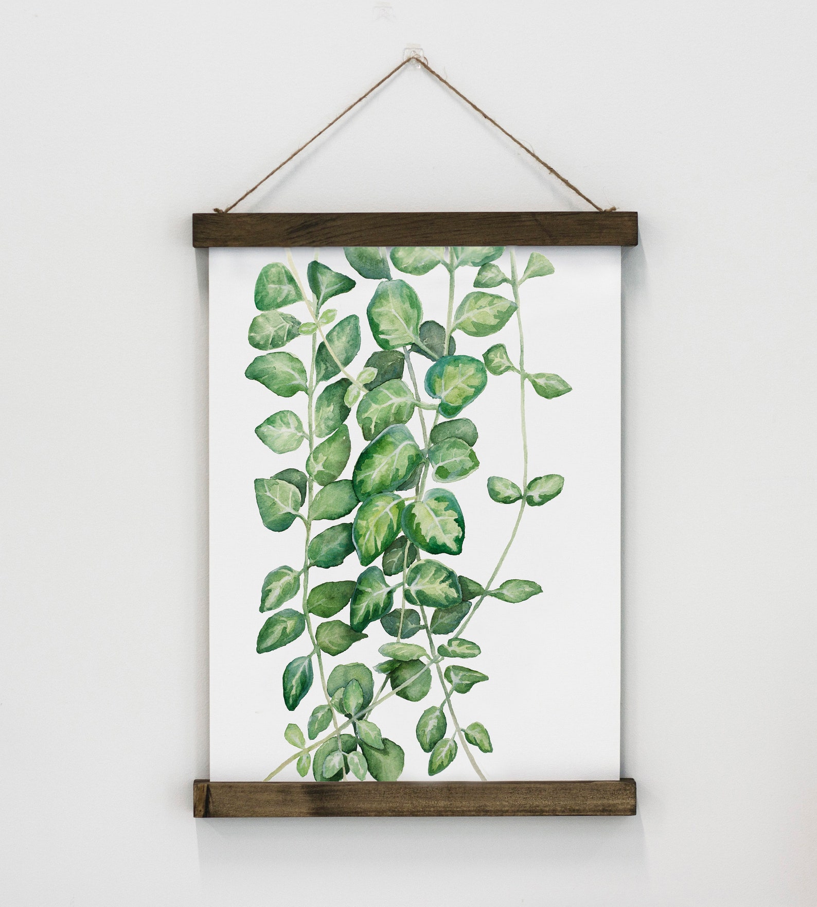 Vines Set of 3 Greenery Hanging Canvas Poster Botanical - Etsy