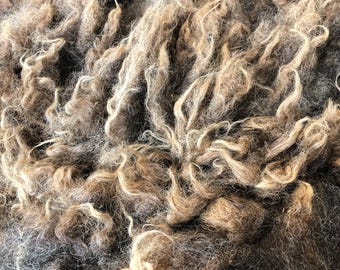 Charisma: 2026 Romney X ram - Raw Fleece - skirted whole fleece - 6.9lbs