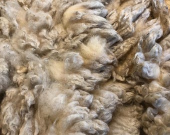 M.G.: 2026 Purebred Romney ewe - Raw Fleece - skirted whole fleece - 5.7lbs