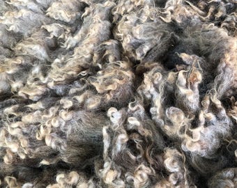 Bel: 2026 Romney X ewe - Raw Fleece - skirted whole fleece - 7.3lbs