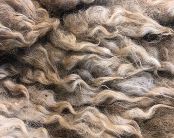 Candy: 2026 Romney X Ewe - Raw Fleece - skirted whole fleece - 7.9lbs