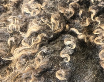 Bebe: 2026 Romney X ewe - Raw Fleece - skirted whole fleece - 9.3lbs