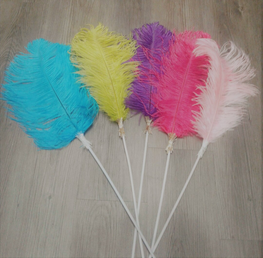 Ostrich Feather Teaser Cat Toy // Best Cat Toy // Wand Cat Toy