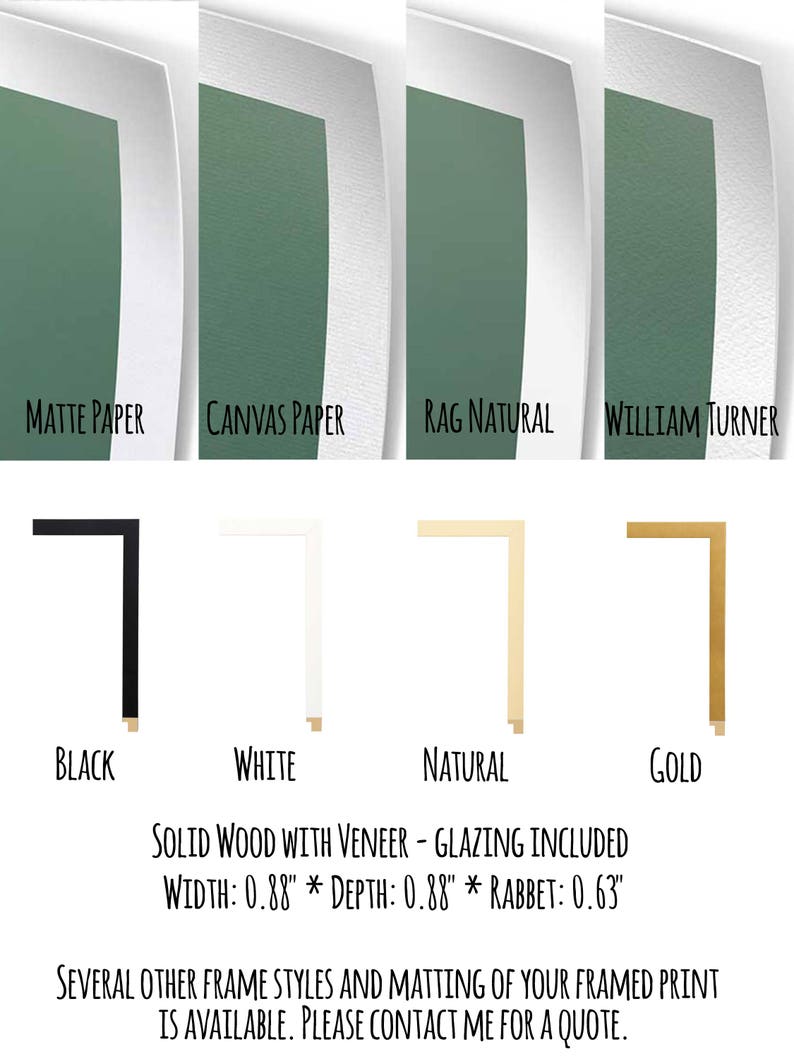 May include: Image showcasing four paper types: Matte, Canvas, Rag Natural, and William Turner. Below, four frame colors are displayed: Black, White, Natural, and Gold. The text indicates solid wood with veneer, glazing included, and dimensions of 0.88" width and depth.