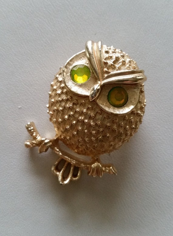 SARAH COVENTRY OWL With Glowing Eyes Brooch Gift F