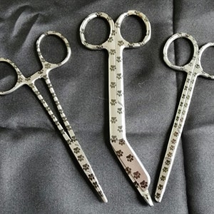 Paw laser set of instruments for veterinary technicians nurse