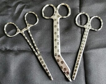 Paw laser set of instruments for veterinary technicians nurse