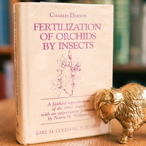 1979, ristampa in facsimile della fecondazione delle orchidee da parte degli insetti di Charles Darwin