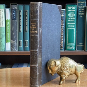 May include: A bookshelf with a variety of books, including "The Railway Children", "OmoO", "Brief Lives by John Aubrey", and "A Short History of the English People". A gold metal buffalo figurine is in front of the bookshelf.