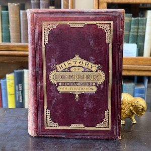 1882, History of Rockingham and Strafford Counties, New Hampshire, with Biographical Sketches... by D. Hamilton Hurd, comp.