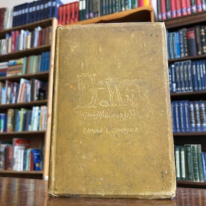 1886, 1st Edition, DOLLY, The Young Widder up to Felder&#39;s by Edmund E. Sheppard