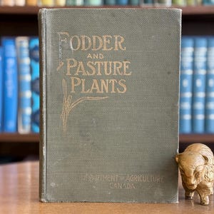 Puede incluir: Un libro antiguo titulado "FODDER AND PASTURE PLANTS" con letras doradas sobre una cubierta verde. Una pequeña figura de bisonte tallada está a la derecha del libro. El libro está sobre una superficie de madera, con una estantería borrosa en el fondo.