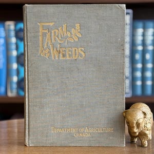 Puede incluir: Un libro antiguo titulado "Farm Weeds" con letras doradas y un diseño floral. El libro es de color gris claro y es del Departamento de Agricultura de Canadá. Una pequeña figura de bisonte dorado está al lado del libro.