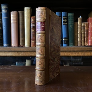 Op de afbeelding: Een vintage, bruin lederen gebonden boek met gouden accenten en ingewikkelde ontwerpen. Het boek is getiteld "Bacon's  Political Works."