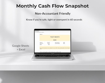 Monthly Cash Flow Snapshot Spreadsheet | Simple Money In vs Out Tracker for Small Business & Freelancers