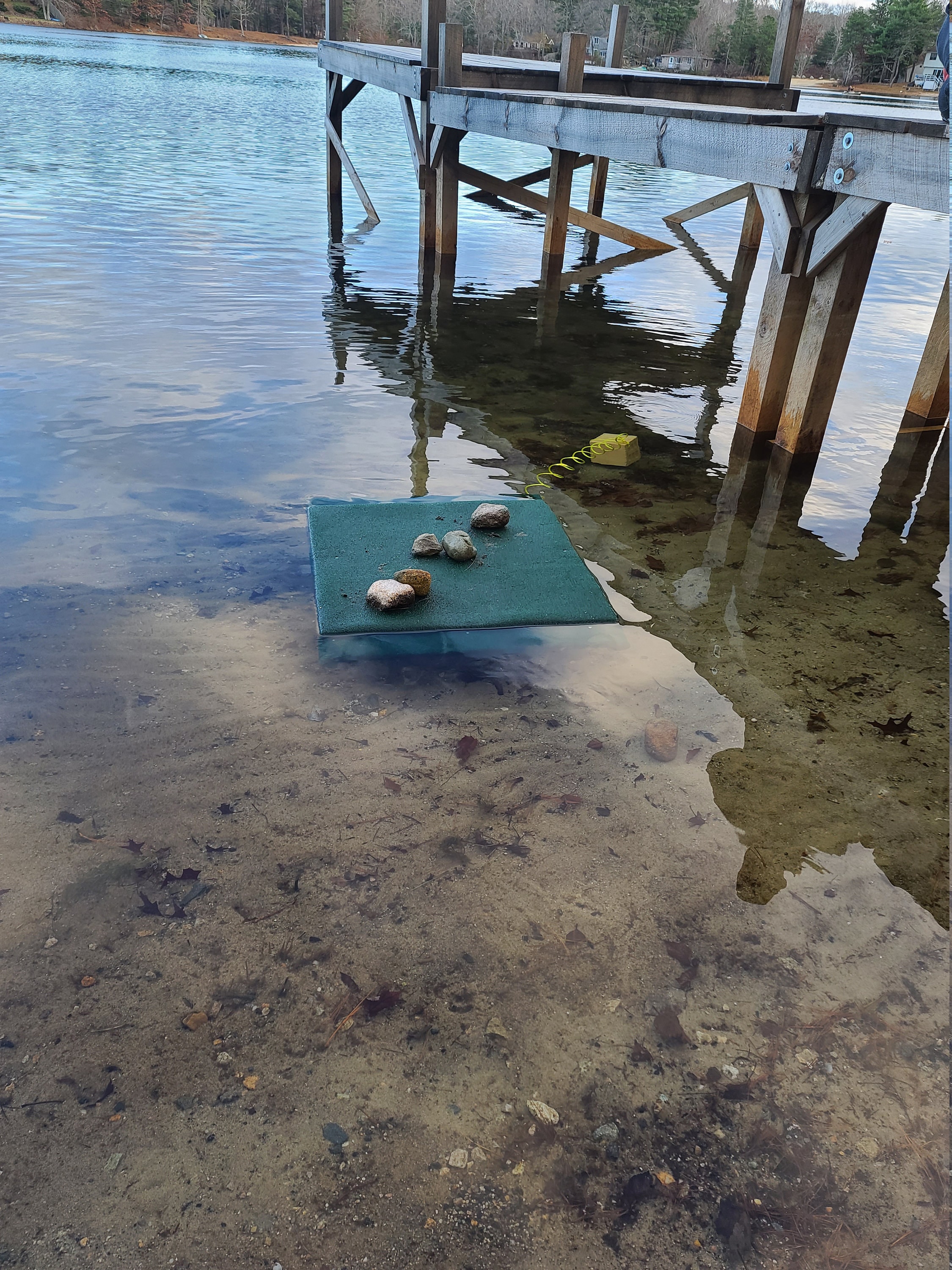 Coralife Floating Turtle Trunk - Freestanding Basking Platform For Turtles, Frogs, Aquatic Pets - View #9