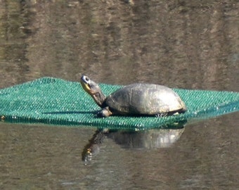 Turtle Raft 2.0