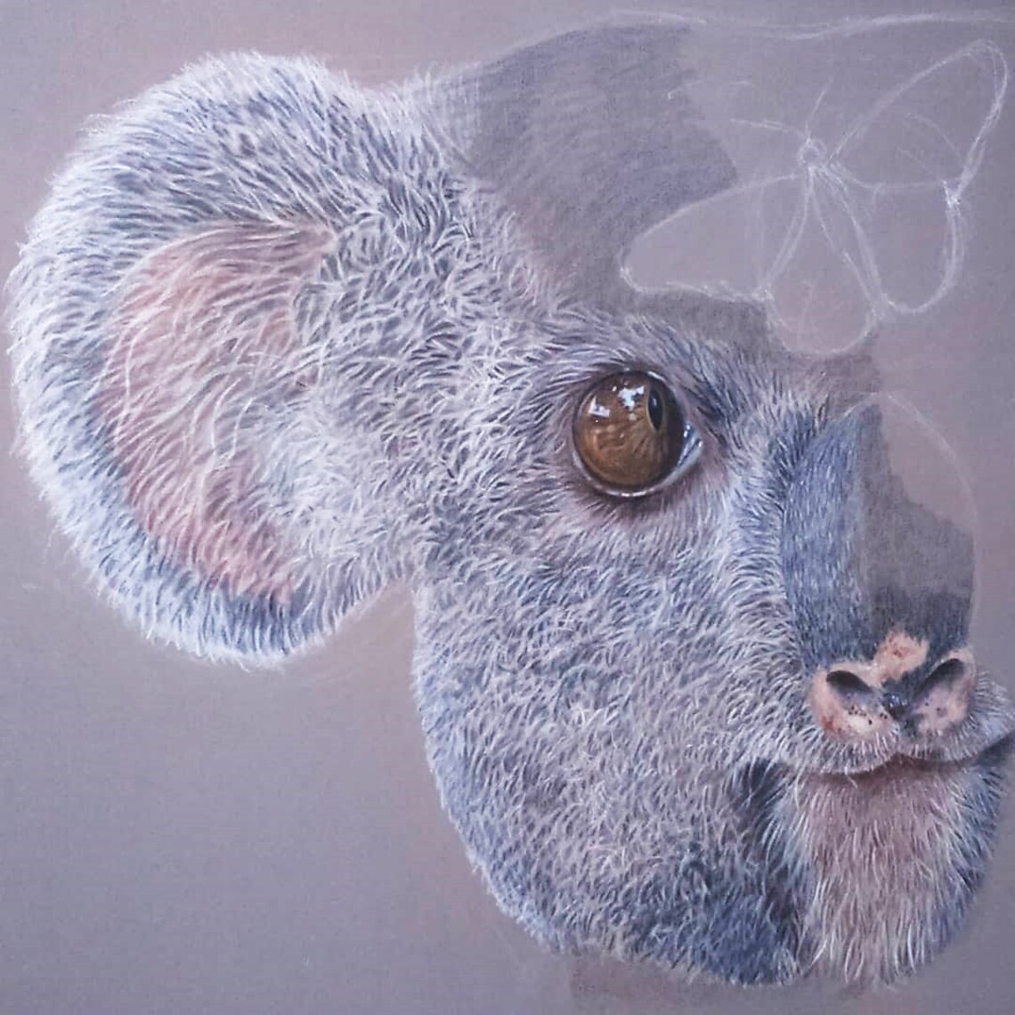 Cute Koala drawing made with professional colored pencils | Etsy