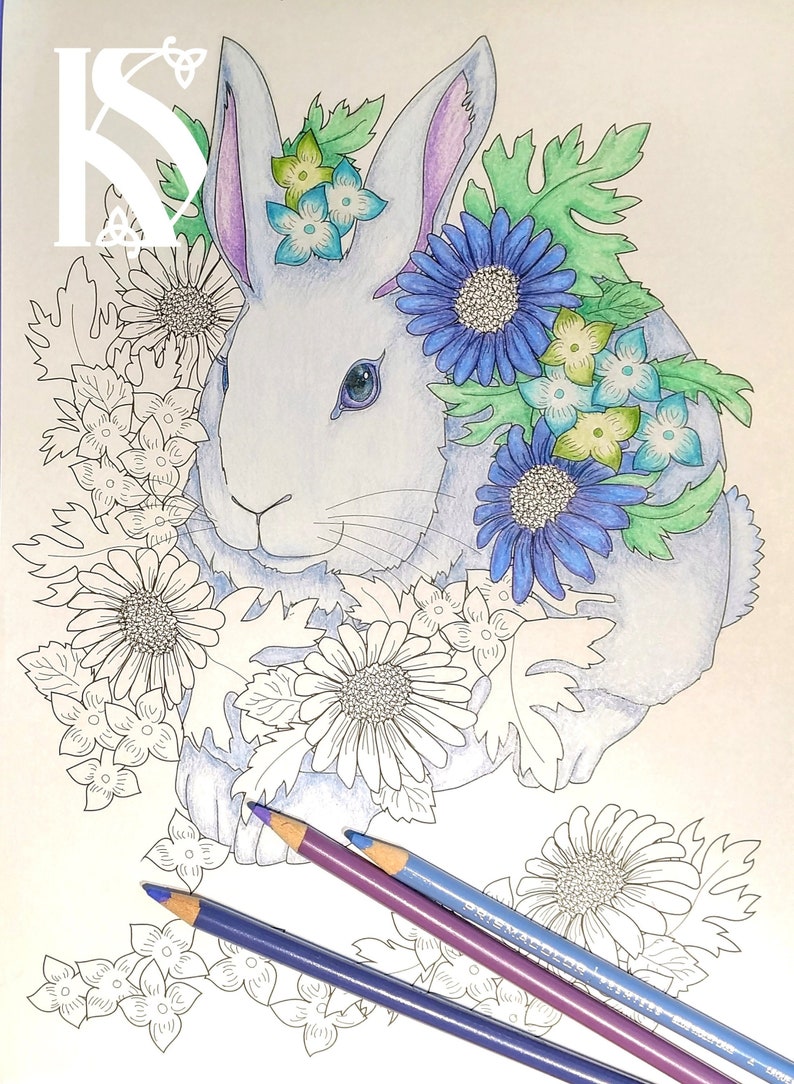 990 Flower Meadow Coloring Pages Images & Pictures In HD