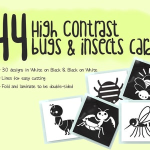 High Contrast Bugs & Insect Black and White Flashcards, Bugs and Insect, Sensory flashcards, Newborn Flashcards, Printable, Instant Download