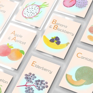 Fruit Alphabet Flashcard, Double-face, ABC, Carte Flash, Aquarelle, École à domicile, téléchargeable, Imprimable, TÉLÉCHARGEMENT INSTANTANÉ