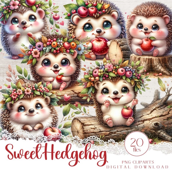 Whimsical sweet hedgehog PNG clipart set, 20 printable digital illustrations for DiY, Transparent background, Cute Animals sublimations