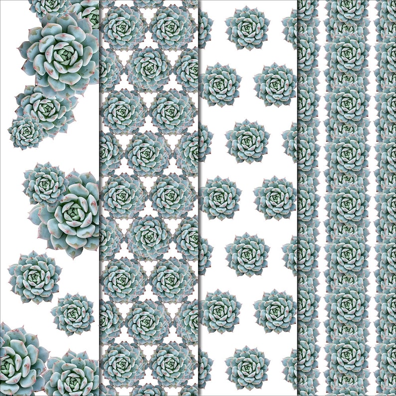Succulent Digital Paper Succulent Patterns commercial Echeveria Succulent Paper Digital Background -Botanic Papers -Cactus Scrapbook