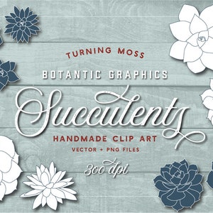 Succulent Vector ClipArt - Succulent Clip Art - Png and Vector Files - Digital Succulents - Digital Cactus Clip Art - Succulent Graphic Art