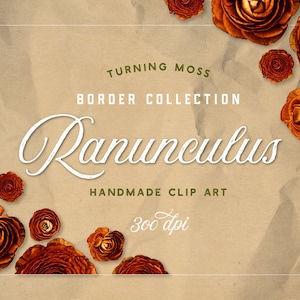 Digital Ranunculus ClipArt - Bordes Florales - Flores Digitales - Naranja Flor ClipArt - Fronteras Botánicas - Flores Reales Naranja - Otoño Arte
