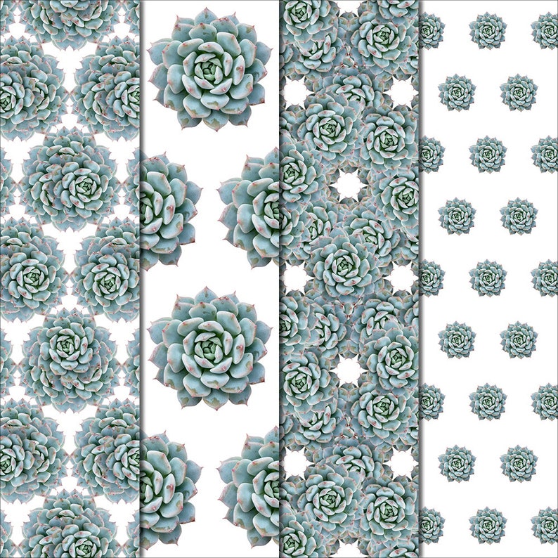 Succulent Digital Paper Succulent Patterns commercial Echeveria Succulent Paper Digital Background -Botanic Papers -Cactus Scrapbook