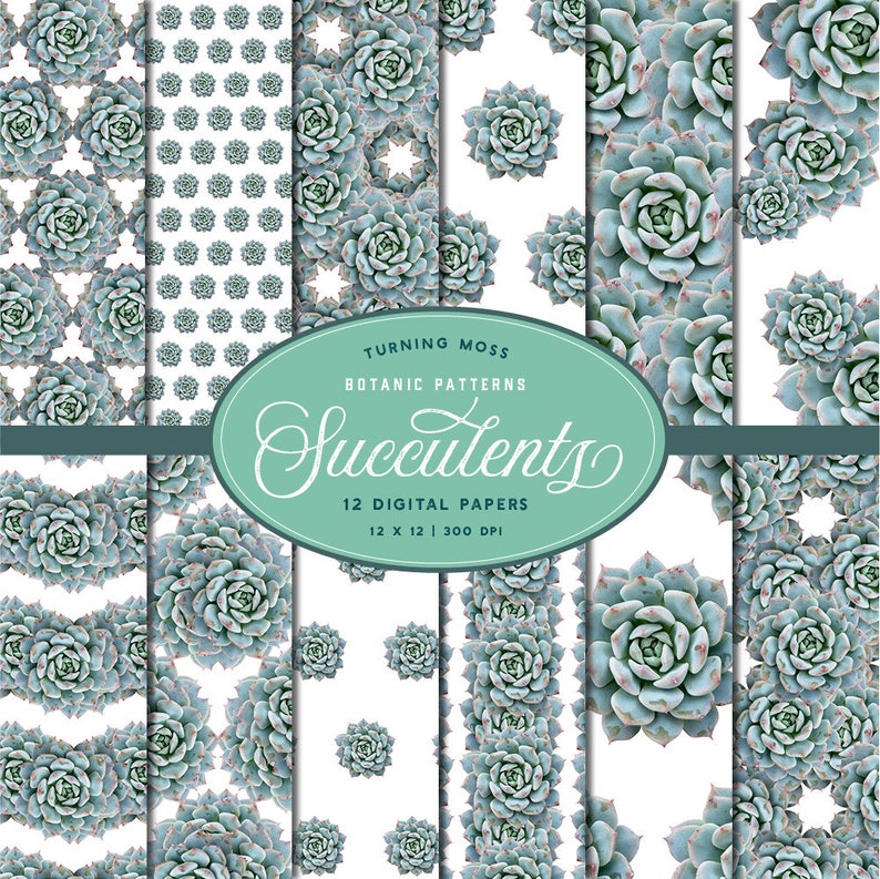 Succulent Digital Paper Succulent Patterns commercial Echeveria Succulent Paper Digital Background -Botanic Papers -Cactus Scrapbook