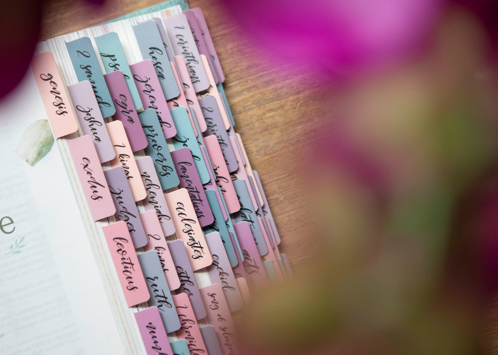Laminated Bible Tabs Books of the Bible Tabs Bible Tabs - Etsy