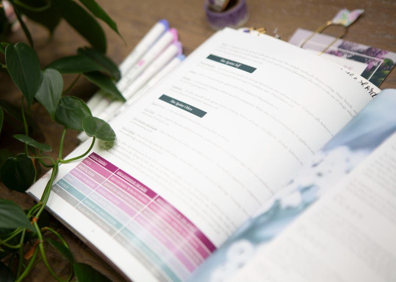 May include: Open book with text and color-coded charts. The pages are white with black text. The charts have pink, purple, and blue color gradients. Green leaves and white and purple markers are in the background.