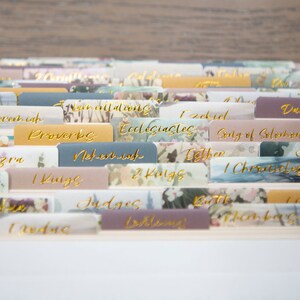 Puede incluir: Un conjunto de pesta&ntilde;as de &iacute;ndice de colores con patrones florales y letras doradas para una Biblia. Las pesta&ntilde;as incluyen nombres de libros de la Biblia como G&eacute;nesis, &Eacute;xodo, Lev&iacute;tico, N&uacute;meros, Deuteronomio, Josu&eacute;, Jueces, Rut, 1 Samuel, 2 Samuel, 1 Reyes, 2 Reyes, 1 Cr&oacute;nicas, 2 Cr&oacute;nicas, Esdras, Nehem&iacute;as, Ester, Job, Salmos, Proverbios, Eclesiast&eacute;s, Cantar de los Cantares, Isa&iacute;as, Jerem&iacute;as, Lamentaciones, Ezequiel, Daniel, Oseas, Joel, Am&oacute;s, Abd&iacute;as, Jon&aacute;s, Miqueas, Nah&uacute;m, Habacuc, Sofon&iacute;as, Hageo, Zacar&iacute;as, Malaqu&iacute;as, Mateo, Marcos, Lucas, Juan, Hechos, Romanos, 1 Corintios, 2 Corintios, G&aacute;latas, Efesios, Filipenses, Colosenses, 1 Tesalonicenses, 2 Tesalonicenses, 1 Timoteo, 2 Timoteo, Tito, Filem&oacute;n, Hebreos, Santiago, 1 Pedro, 2 Pedro, 1 Juan, 2 Juan, 3 Juan, Judas y Apocalipsis.