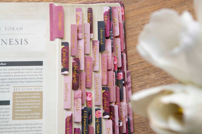 May include: A close-up of a Bible with pink and burgundy floral patterned tabs. The tabs are labeled with the names of books of the Bible, including Genesis, Exodus, Leviticus, Numbers, Deuteronomy, Joshua, Judges, Ruth, 1 Samuel, 2 Samuel, 1 Kings, 2 Kings, 1 Chronicles, 2 Chronicles, Ezra, Nehemiah, Esther, Job, Psalms, Proverbs, Ecclesiastes, Song of Solomon, Isaiah, Jeremiah, Lamentations, Ezekiel, Daniel, Hosea, Joel, Amos, Obadiah, Jonah, Micah, Nahum, Habakkuk, Zephaniah, Haggai, Zechariah, Malachi, Matthew, Mark, Luke, John, Acts, Romans, 1 Corinthians, 2 Corinthians, Galatians, Ephesians, Philippians, Colossians, 1 Thessalonians, 2 Thessalonians, 1 Timothy, 2 Timothy, Titus, Philemon, Hebrews, James, 1 Peter, 2 Peter, 1 John, 2 John, 3 John, Jude, and Revelation.