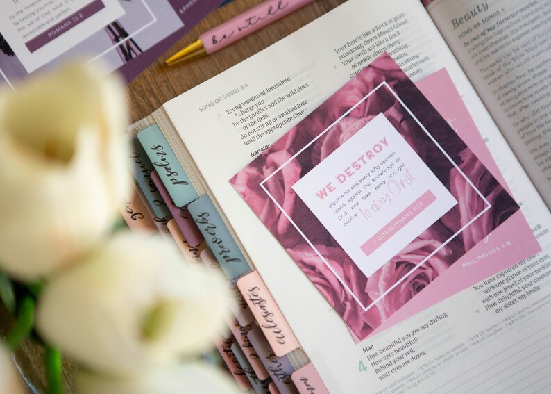 Verse Cards | Renewing the Mind Scripture Cards | Bible Verse Card Set | Bible Verse Memory Cards | Gifts for Christians image 5