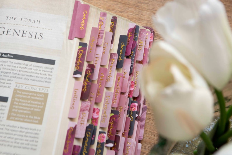 May include: A close-up of a pink and gold Bible with floral patterned tabs. The tabs are labeled with the names of books in the Bible, including Genesis, Exodus, Leviticus, Numbers, Deuteronomy, Joshua, Judges, Ruth, 1 Samuel, 2 Samuel, 1 Kings, 2 Kings, 1 Chronicles, 2 Chronicles, Ezra, Nehemiah, Esther, Job, Psalms, Proverbs, Ecclesiastes, Song of Solomon, Isaiah, Jeremiah, Lamentations, Ezekiel, Daniel, Hosea, Joel, Amos, Obadiah, Jonah, Micah, Nahum, Habakkuk, Zephaniah, Haggai, Zechariah, Malachi.