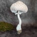 see more listings in the Mushroom textile art section