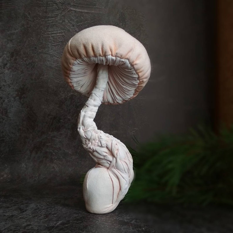 Textile Mushroom Fiber Art Mushroom Fungus Soft Sculpture Etsy