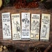 Greek Mythology Bookmark Collection (Achilles, Orpheus, Eurydice, Poseidon, Hades, Persephone, Zeus, Ancient Classics, Greek Gods) 