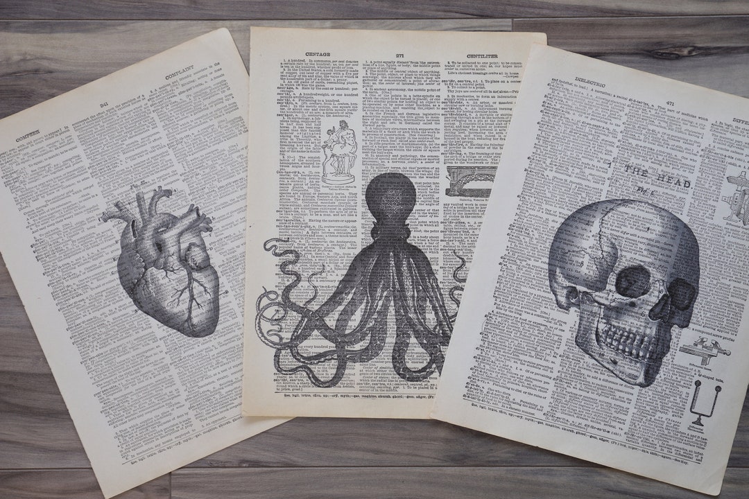 3 Pc Set of Dictionary Art Printed on a Vintage Dictionary Page - Etsy