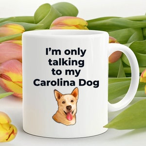 Carolina Dog Funny Coffee Mug white and two tone color - I'm only talking to my Carolina Dog